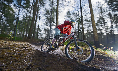 Man riding bicycle in forest