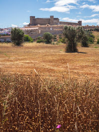 Old building on field against sky