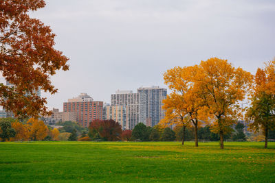 Trees on field against sky during autumn