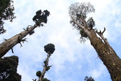 Low angle view of bare tree against cloudy sky