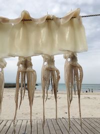 Panoramic view of beach