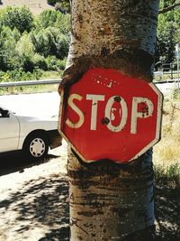 Close-up of road sign on tree trunk