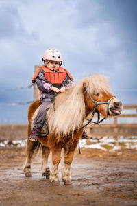 Horse standing at beach against sky