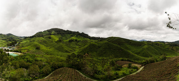 Panoramic view of green landscape against sky