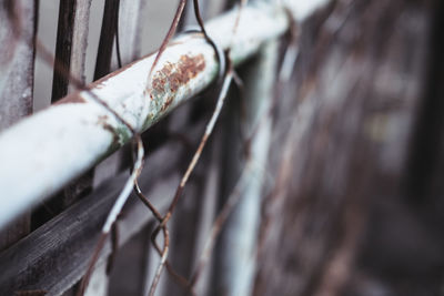 Close-up of rusty metal fence