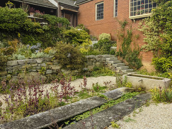 View of flowering plants against building