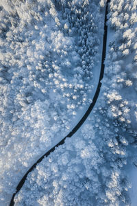 Low angle view of tree against sky