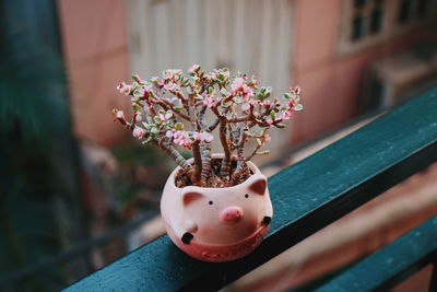 Close-up of small flower pot on table