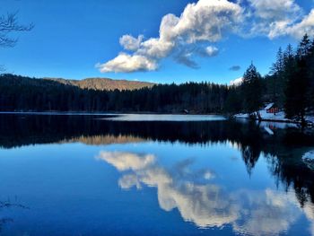 Scenic view of lake by trees against sky