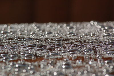 Close-up of water drops on a car roof