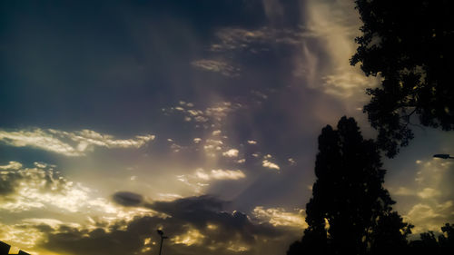 Low angle view of silhouette trees against sky at sunset