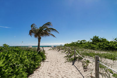 Scenic view of beach against clear blue sky