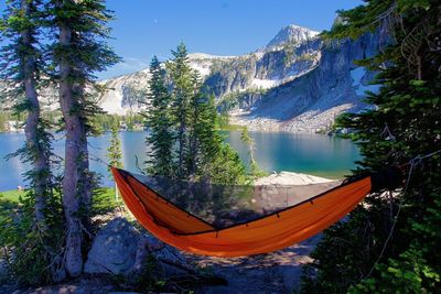 Hammock hanging on tree