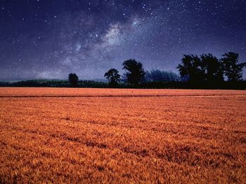 Scenic view of landscape against sky at night