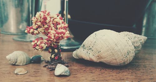 Close-up of flowers on table