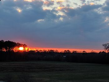 Silhouette trees on landscape against sky at sunset