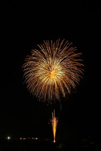 Low angle view of firework display at night