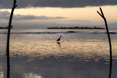 Silhouette man in sea against sky during sunset