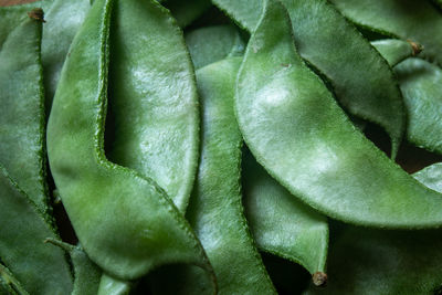 Full frame shot of vegetables