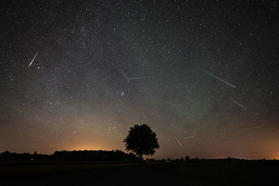 Low angle view of meteor shower and star field in sky