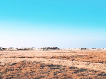 Scenic view of field against clear blue sky