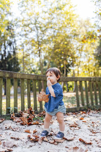Full length of cute baby boy leaves on tree during autumn