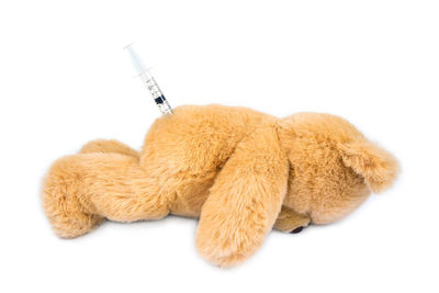 Close-up of stuffed toy against white background