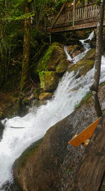 Scenic view of waterfall in forest