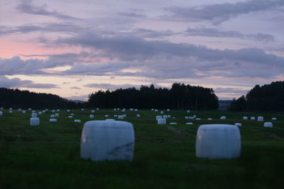 Scenic view of grassy field against cloudy sky