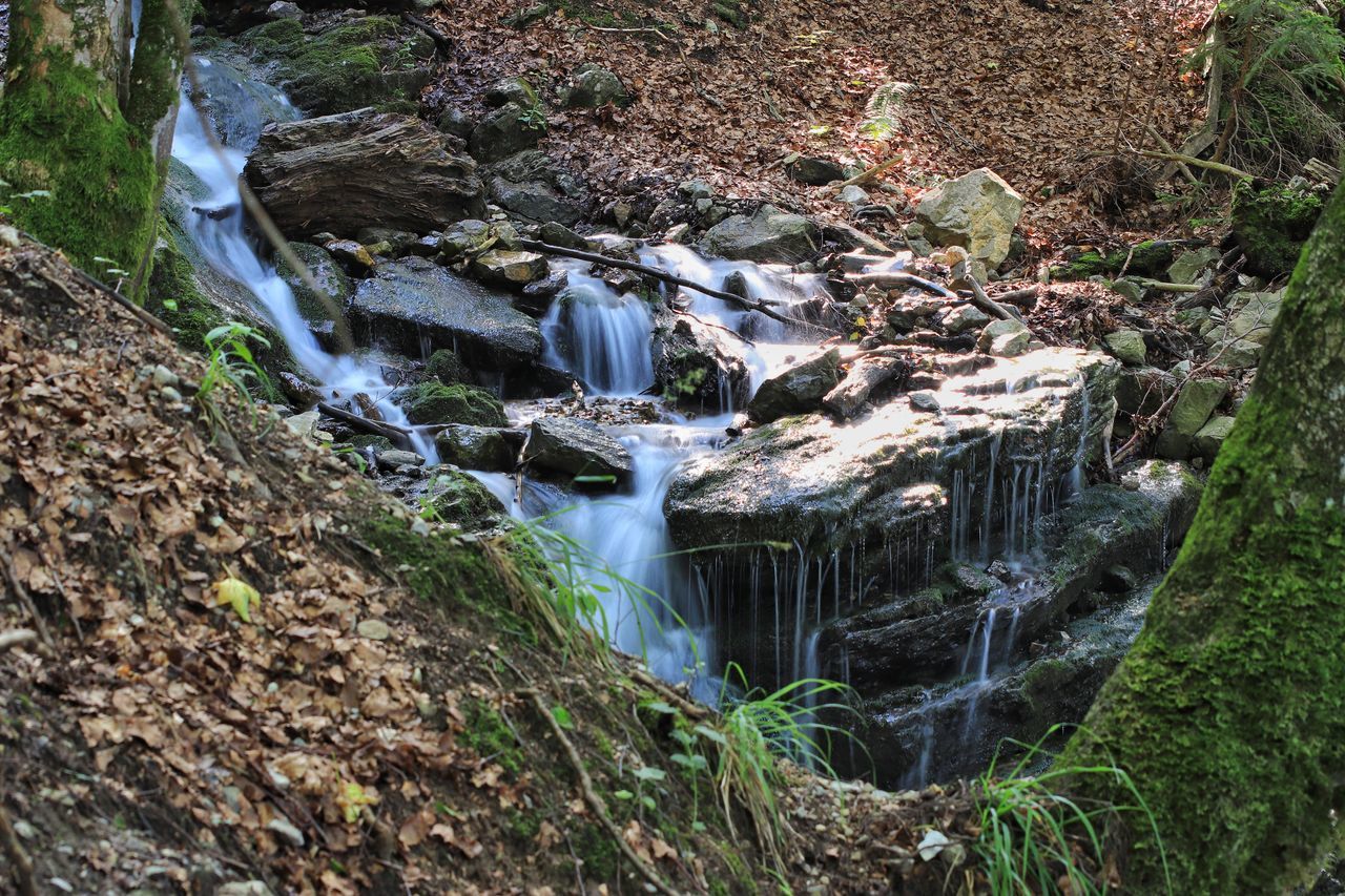 SCENIC VIEW OF WATERFALL