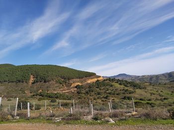 Scenic view of landscape against sky