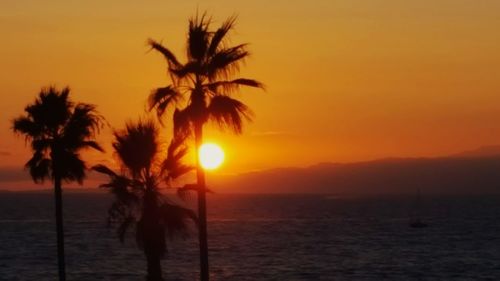 Silhouette palm tree on beach against orange sky