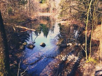 water