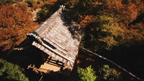 High angle view of wooden log cabin amidst trees during autumn