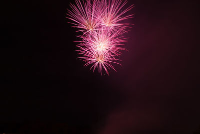 Low angle view of firework display at night