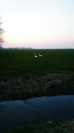 Scenic view of agricultural landscape against sky during sunset