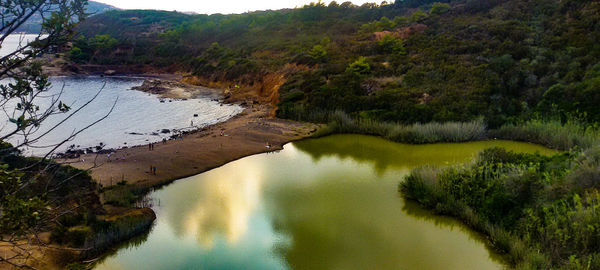 Scenic view of lake amidst trees in forest against sky