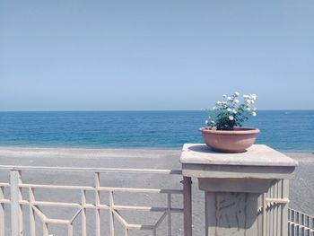 Potted plant on railing by sea against clear sky