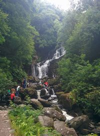 River flowing through rocks