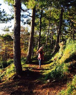 Rear view of woman walking in forest