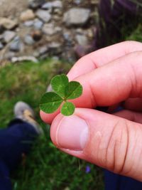 Cropped image of hand holding plant