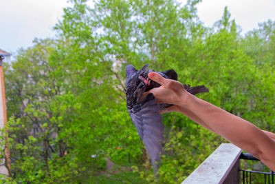 Midsection of person holding umbrella against plants