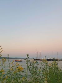 Scenic view of sea against clear sky during sunset