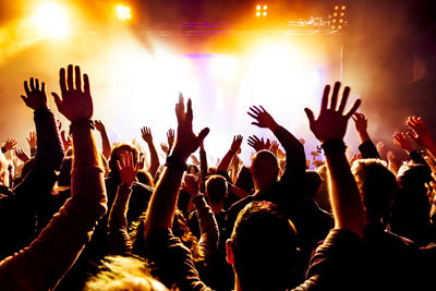 Cheering young people at a rock concert