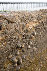 Close-up of sand