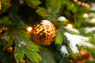 Close-up of christmas decoration on tree