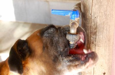 Man drinking water from bottle