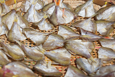 Full frame shot of fish for sale in market