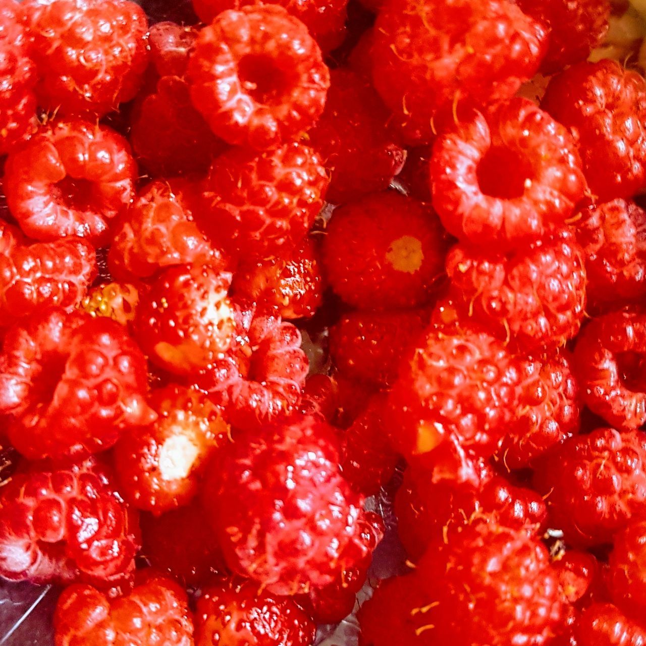 FULL FRAME SHOT OF RED STRAWBERRIES