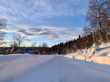 Snow covered road by trees against sky